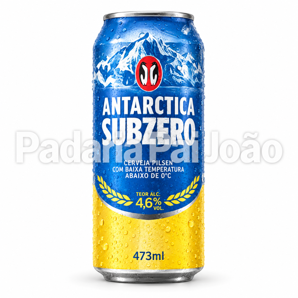 Antartica Subzero 473 ml