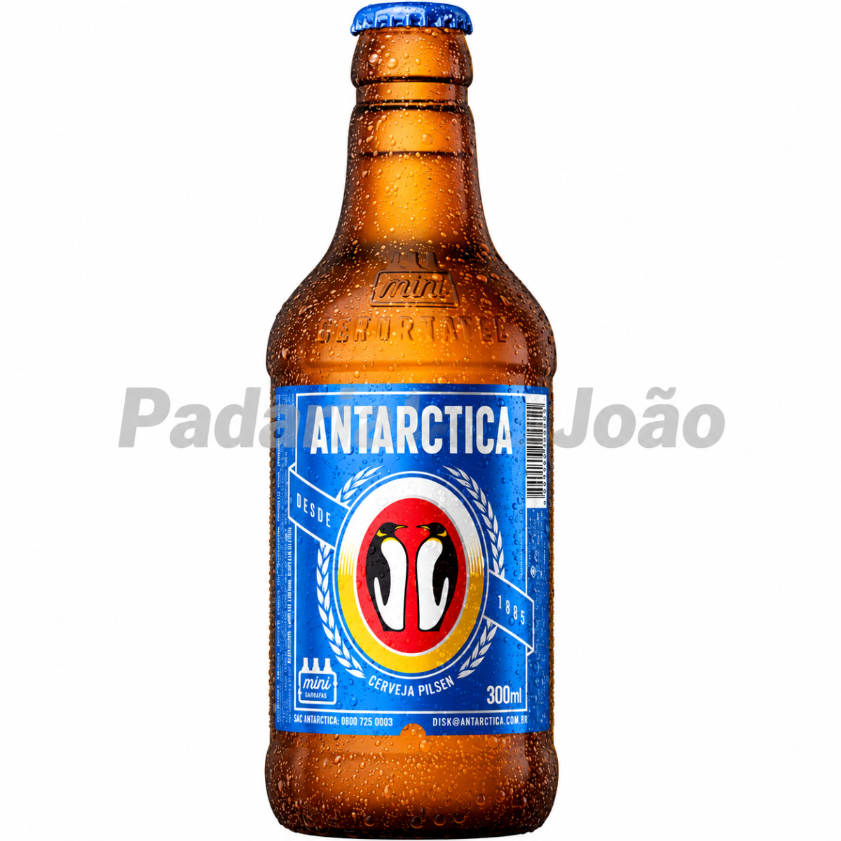 Antartica Pilsen 300 ml